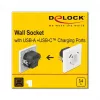DeLOCK 11489 Gniazdo sieciowe CEE 7/3 + USB biały 250V 16A