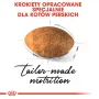 Sucha karma dla kota Royal Canin Persian 4 kg — dorosłe koty perskie, kurczak, 30% białka, 22% tłuszczu