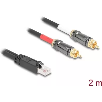 DeLOCK kabel audio 2 m RJ-45 2 x RCA czarny 88171