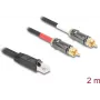 DeLOCK kabel audio 2 m RJ-45 2 x RCA czarny 88171