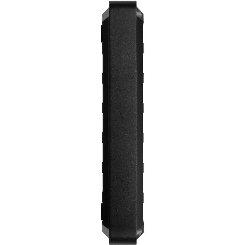 Zewnętrzny dysk twardy Western Digital 4 TB 2,5 cala USB 3.2 Gen 1 P10 Game Drive