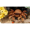 LEGO ICONS 10366 Tropikalne akwarium
