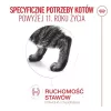 Sucha karma dla kota Royal Canin FHN Ageing 11+ 2 kg — drób, 30% białka, wsparcie stawów i nerek
