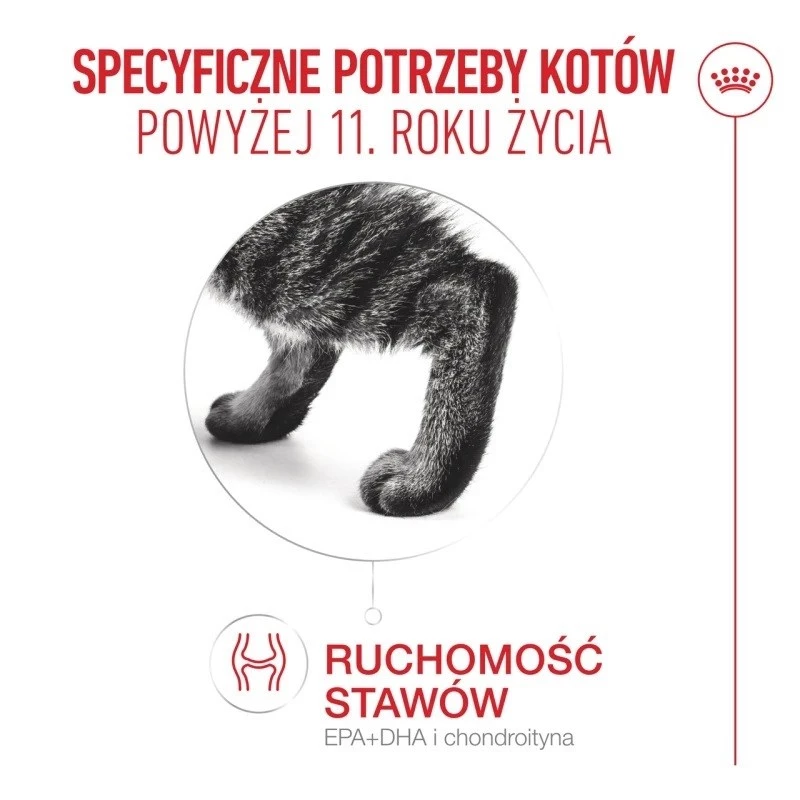 Sucha karma dla kota Royal Canin FHN Ageing 11+ 2 kg — drób, 30% białka, wsparcie stawów i nerek
