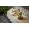 Cama FELLINI szafka TV 150x40x52 oliwkowy + blat z olejowanego dębu