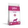 CALIBRA VD Dog Struvite - sucha karma dla psa - 2kg