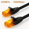 Kabel krosowy Ethernet QOLTEC CAT6, 2×RJ45, 20 m, czarny