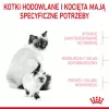 Sucha karma dla kota Royal Canin Mother & Babycat 400 g — drób, dla kotek ciężarnych i karmiących oraz młodych kociąt
