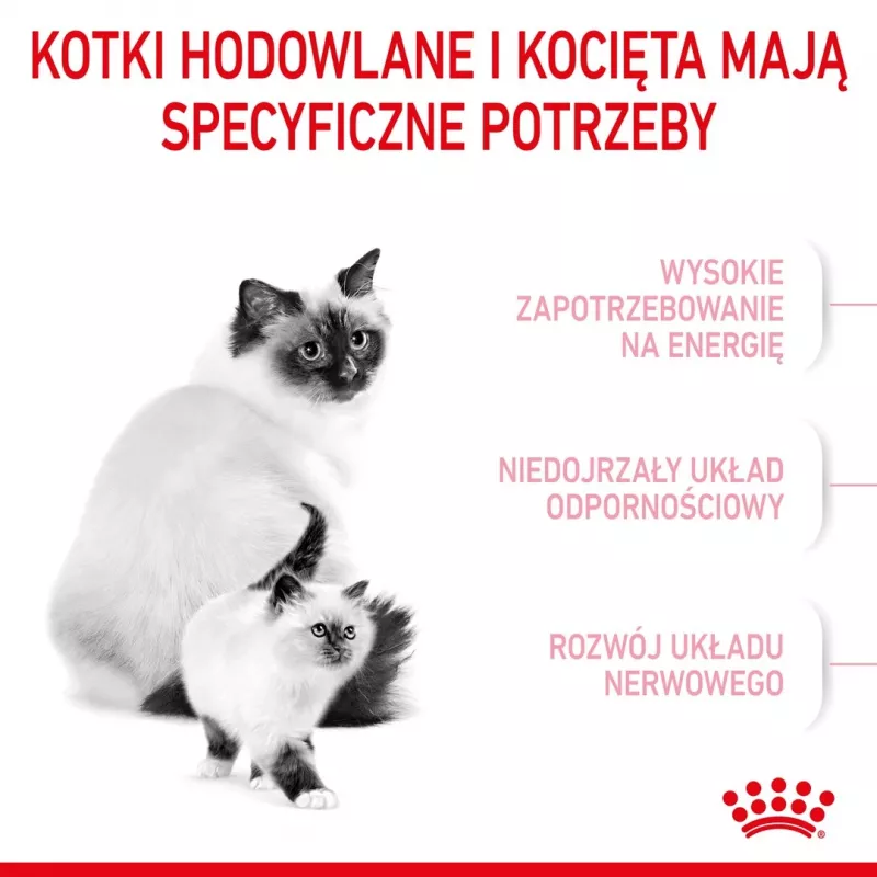 Sucha karma dla kota Royal Canin Mother & Babycat 400 g — drób, dla kotek ciężarnych i karmiących oraz młodych kociąt