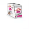 Mokra karma dla psów Royal Canin Exigent Meat Universal 12×85 g — Drób, Dla dorosłych, Dla wybrednych psów