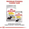 ROYAL CANIN Mini Dermacomfort - sucha karma dla dorosłych psów małych ras o wrażliwej skórze skłonnej do podrażnień - 3kg