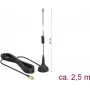 Antena zewnętrzna DeLOCK 89613