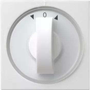 Gira 066603 Urządzenie sieciowe Białe