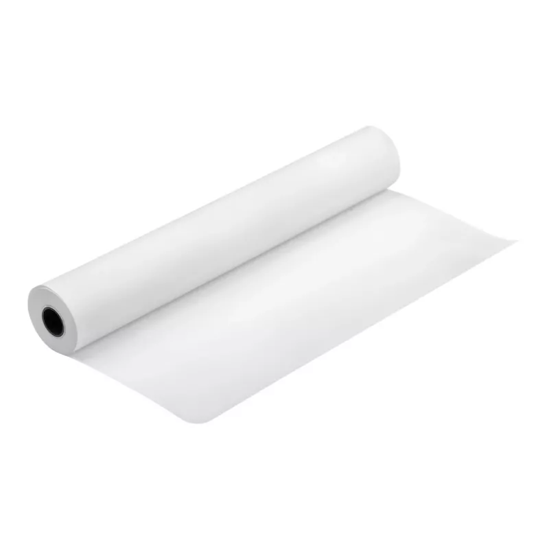 Epson Production Canvas Matte, 610 mm x 12,2 m, 12,2 m, 61 cm, 61 cm (24 cale), Mat, 320 g/m²