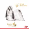 ROYAL CANIN Shih Tzu karma mokra dla psów dorosłych Pasztet 12x85 g
