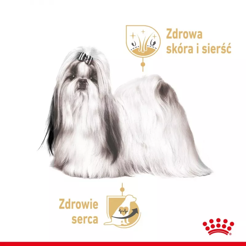 ROYAL CANIN Shih Tzu karma mokra dla psów dorosłych Pasztet 12x85 g