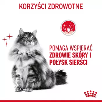 Sucha karma dla kota Royal Canin Hair & Skin Care 2 kg — kurczak, dorosły, 33% białka, 22% tłuszczu