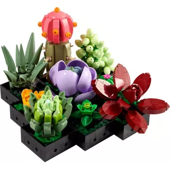 Lego Icons 10309 Sukulenty