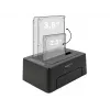 DeLOCK - HDD-Dockingstation Schächte: 2 - SATA 6Gb/s - 6 Gbit/s - USB 3,1 (Gen 2) - Schwarz (63957)