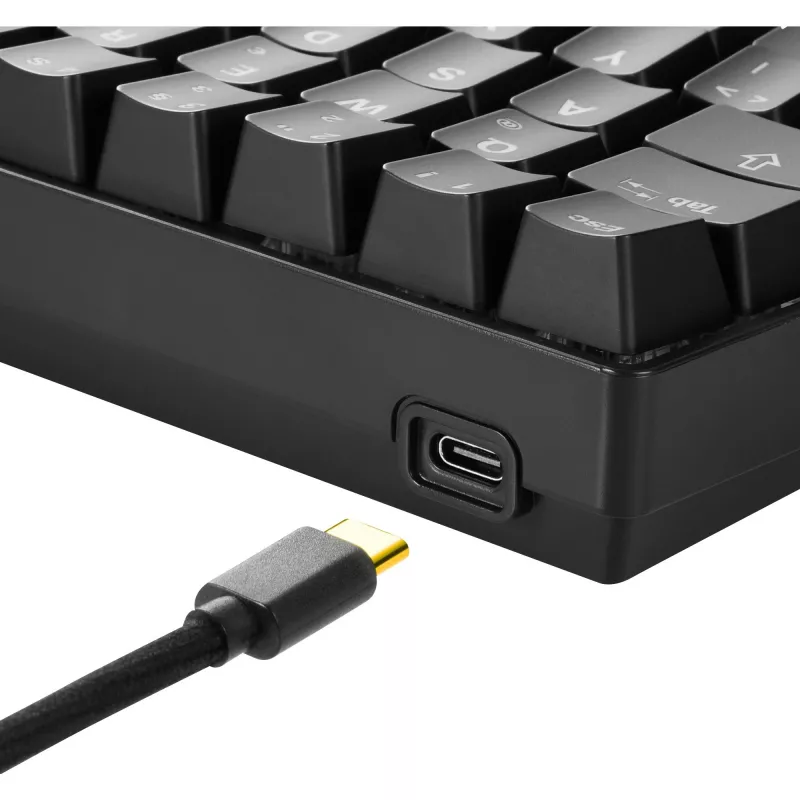 Sharkoon SKILLER SGK50 S4 Klawiatura Gamingowa USB QWERTZ Niemiecki Czarna