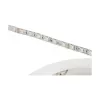Synergy 21 LED Flex Strip 5050 - 60 RGB DC24V + RGB-W one chip ww IP68