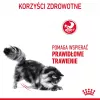 Royal Canin Digestive Care Adult sucha karma dla kotów, 10 kg, ryba, drób, ryż, warzywa