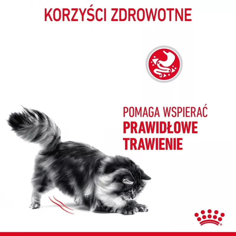Royal Canin Digestive Care Adult sucha karma dla kotów, 10 kg, ryba, drób, ryż, warzywa