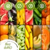 Toraf Flavor Symphony Seed Set - 12 Packages