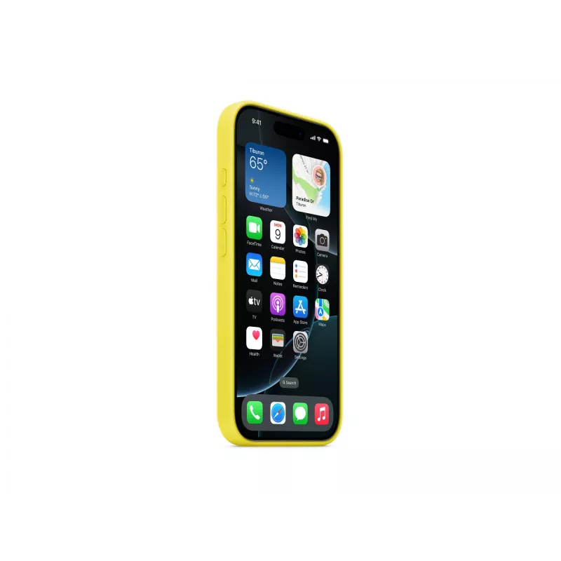 Etui silikonowe z MagSafe dla iPhone 16 Pro - Star Fruit