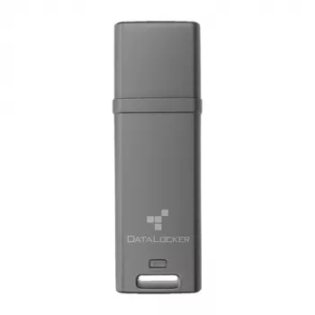 DataLocker 4GB DL GO 256BIT USB 3.2 gen 1 - Flash-Memory - assorted (DLGO-004)
