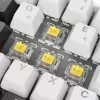 Klawiatura Sharkoon SGK50 S4 Domowa USB QWERTZ Niemiecka Biała RGB LED 60%