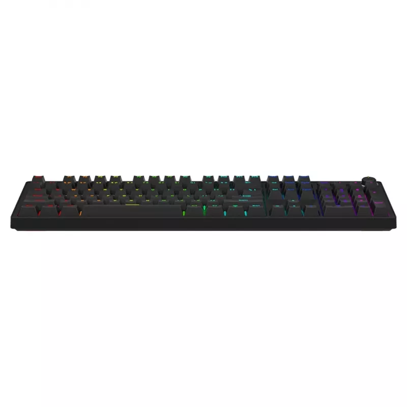 Klawiatura mechaniczna dla graczy SAVIO STYX Outemu niebieski Hot-Swap RGB USB QWERTY US International Czarna 104-klawiszowa pełnowymiarowa