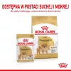 Sucha karma dla psa Royal Canin Pomeranian Adult 3 kg — formuła dla małych ras, dla dorosłych pomeranianów