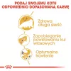 Royal Canin Persian Adult sucha karma dla kotów, 4 kg, kukurydza, drób