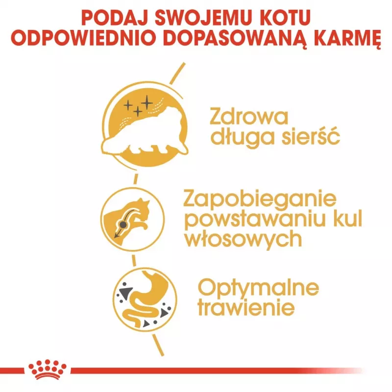Royal Canin Persian Adult sucha karma dla kotów, 4 kg, kukurydza, drób