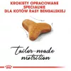 Sucha karma dla kota Royal Canin Bengal Adult 10 kg — Kurczak, 40% białka, 18% tłuszczu