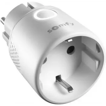 Somfy - Smart-Plug - Bezprzewodowy - 868 MHz (1822618)