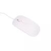 Extralink Stacionarus kompiuteris Xiaomi 24\ All-In-One PC Business | All-In-One PC | Intel i5 11300H, 16GB DDR4, 512GB SSD, klawiatura, mysz, kamera internetowa