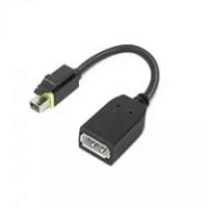 Lenovo 4X90Q93975 adapter kabla wideo Mini DisplayPort DisplayPort Czarny