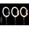 TRACER RING 30cm pierścień świetlny ze statywem 210cm