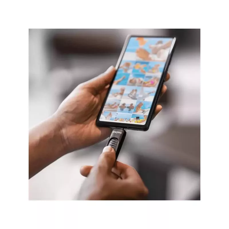 Pamięć USB flash SanDisk 128 GB USB Type-C SDCZ480-128G-G46