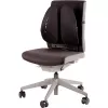 PODPÓRKA POD PLECY/BACK ANGEL 8026401 FELLOWES