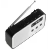 Przenośne radio cyfrowe Adler AD 1907 — AM/FM, tuner cyfrowy, alarm, USB-C, bateria 600 mAh, LCD, 20 ustawień, antena teleskopowa