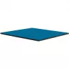 Thermal Grizzly Minus Pad Advance - 100 x 100 x 1,5 mm, 2 sztuki