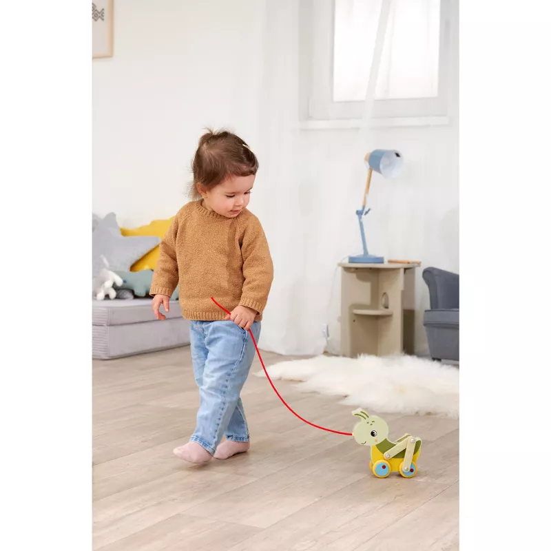Eichhorn Pull-Along Grasshopper (100006803)