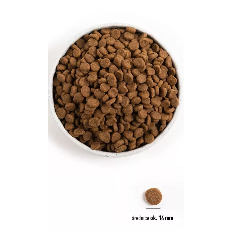 ORIJEN Dog Oryginalny - sucha karma dla psów - 2kg