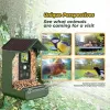 Kamera do obserwacji ptaków EASYPIX Easypix Bird Cam 10123 1080p HD z noktowizorem