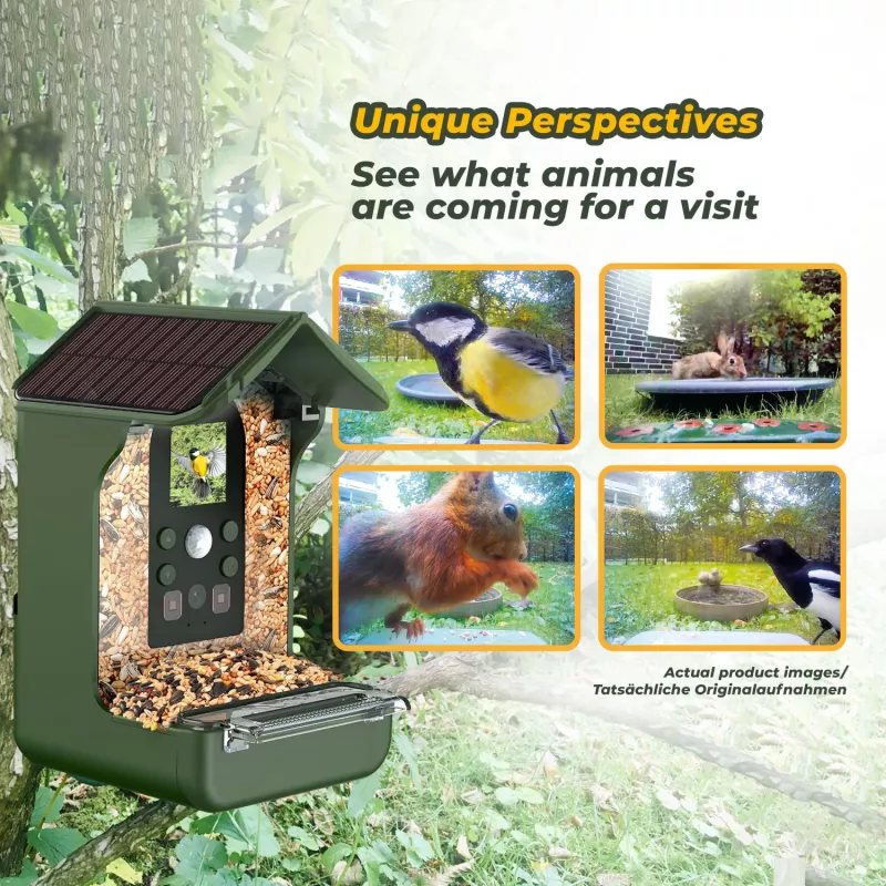 Kamera do obserwacji ptaków EASYPIX Easypix Bird Cam 10123 1080p HD z noktowizorem