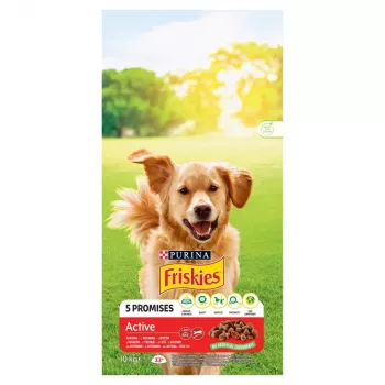 PURINA Friskies Active - sucha karma dla psów - 10 kg