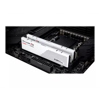 DIMM 32 GB DDR5-5600 (2x 16 GB) Dual-Kit, Arbeitsspeicher weiß, F5-5600J4040C16GX2-RS5W, Ripjaws S5, INTEL XMP